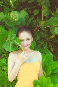 太极门赘婿叶凡唐若雪全章节阅读,全文免费在线阅读