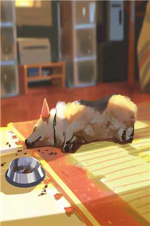 末日来临，女友却为了等竹马拖延撤离时间林小雨云野完整版免费阅读已完结小说