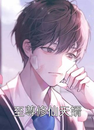 偏心妈妈的遗嘱何恋芳何浩峰全章节阅读听书全文免费大结局阅读