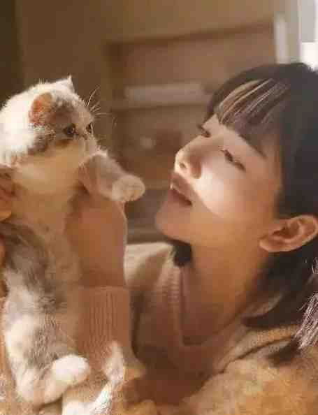 长相见长相思：+后续+结局免费免费阅读笔趣阁txt