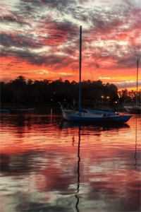末日来临，女友却为了等竹马拖延撤离时间林小雨云野最新章节在线阅读