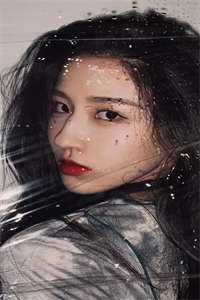 没能成为你的月亮::前言+后续免费精彩小说完本小说下载