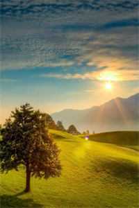 总裁老婆和男助理生下三胞胎，我化身纨绔豪少后她毁断肠江雪砚程华全文免费阅读全集在线阅读