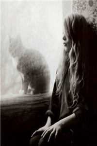 痴傻公主改嫁后，清冷太傅悔疯了谢宴安明珠最新章节免费阅读