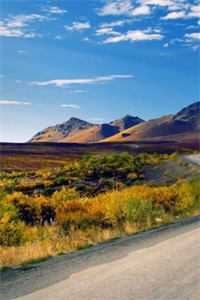 烟火照夜白温南枝沈清宴全文免费阅读全集在线阅读