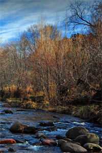 婆婆送女儿上娇妻班，重生后我双手赞同沈念田承宇最新章节在线阅读全本在线阅读