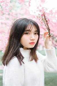 折寒枝簪起霜思沈棠眠宋闻璟全章节阅读听书全文免费大结局阅读