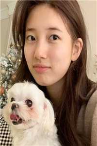 踹了恋爱脑世子后陈十一温之衡全集免费在线阅读下载