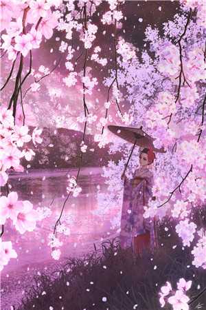 不悔相逢，不缚圆满霍霖阮晴全本免费在线阅读抖音小说全本