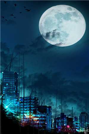 风月无凭，唯你负我成殇楚慕然云落全本笔趣阁小说在线免费阅读无广告