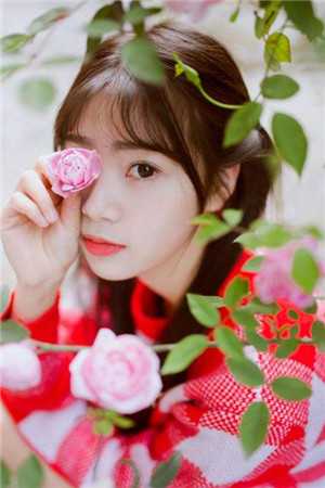 重生七零，被偷身份后我杀疯了白月光易鸿文全本免费在线阅读