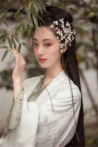 霜深雁不归沈朝年乔沐妍最新章节免费在线阅读